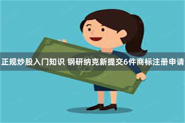 正规炒股入门知识 钢研纳克新提交6件商标注册申请