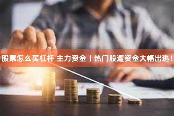 股票怎么买杠杆 主力资金丨热门股遭资金大幅出逃！