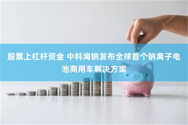 股票上杠杆资金 中科海钠发布全球首个钠离子电池商用车解决方案
