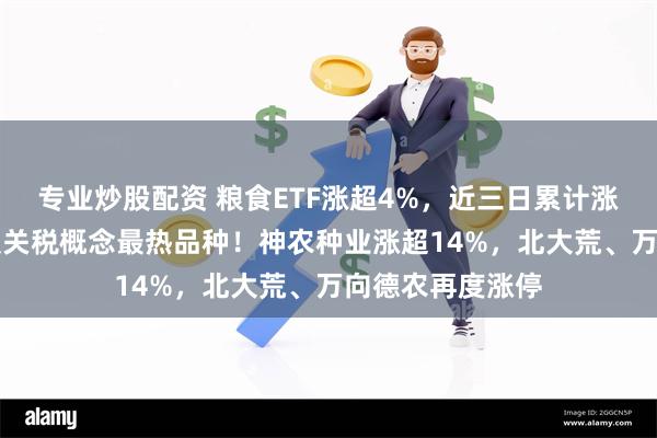 专业炒股配资 粮食ETF涨超4%，近三日累计涨超16%，成为反关税概念最热品种！神农种业涨超14%，北大荒、万向德农再度涨停