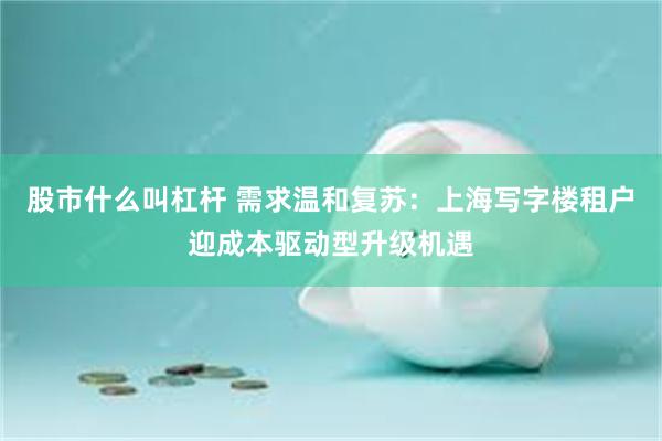 股市什么叫杠杆 需求温和复苏：上海写字楼租户迎成本驱动型升级机遇
