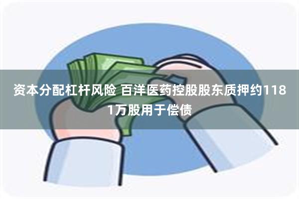 资本分配杠杆风险 百洋医药控股股东质押约1181万股用于偿债