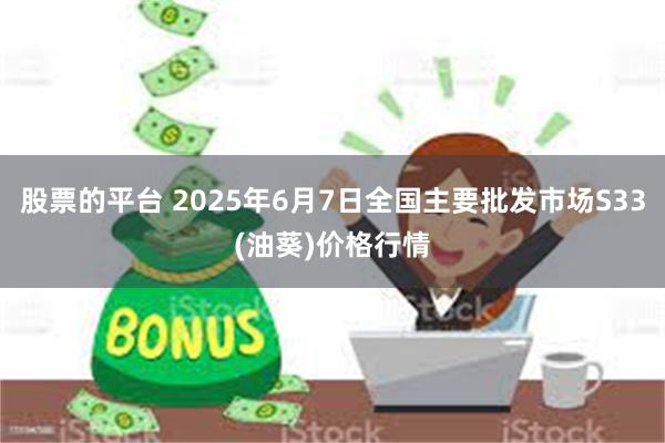 股票的平台 2025年6月7日全国主要批发市场S33(油葵)价格行情