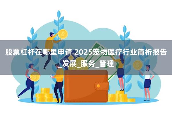 股票杠杆在哪里申请 2025宠物医疗行业简析报告_发展_服务_管理