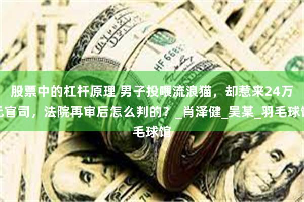 股票中的杠杆原理 男子投喂流浪猫，却惹来24万元官司，法院再审后怎么判的？_肖泽健_吴某_羽毛球馆