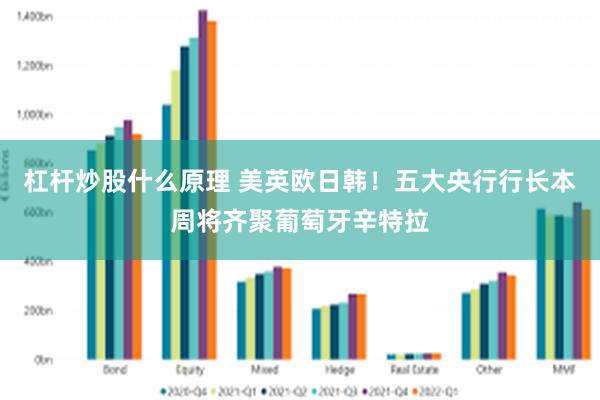 杠杆炒股什么原理 美英欧日韩！五大央行行长本周将齐聚葡萄牙辛特拉