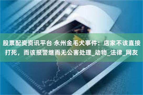 股票配资资讯平台 永州金毛犬事件：店家不该直接打死，而该报警继而无公害处理_动物_法律_网友