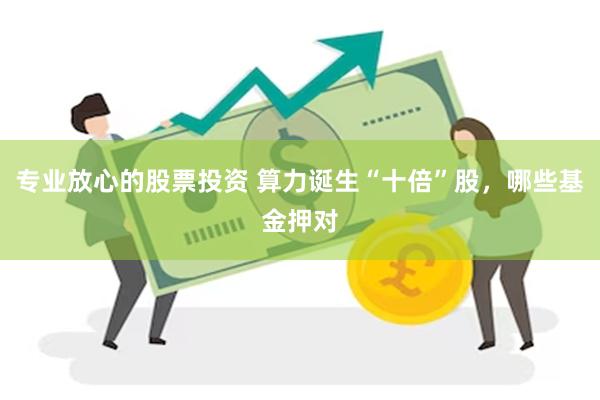 专业放心的股票投资 算力诞生“十倍”股，哪些基金押对