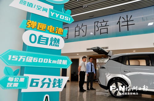 東南汽車城新能源汽車銷量猛增，展現強勁市場勢頭